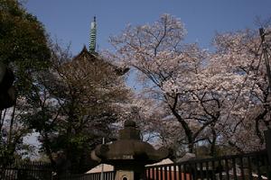 日光的神殿與廟宇