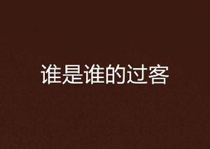 誰是誰的過客 誰是誰的過客