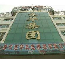 汪振東創辦的集團