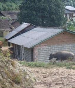 彎崗老寨自然村 彎崗老寨自然村