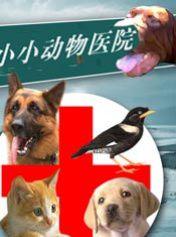 小小動物醫院 小小動物醫院