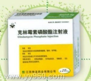 鹽酸克林黴素棕櫚酸酯顆粒劑 鹽酸克林黴素棕櫚酸酯顆粒劑