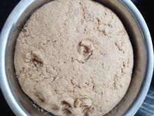 全麥饅頭和包子