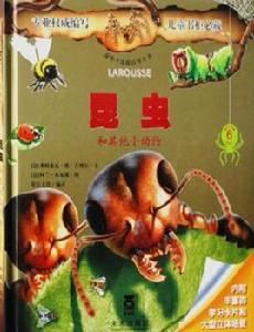 昆蟲和其它動物 昆蟲和其它動物