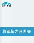 將軍情之再世夫妻 將軍情之再世夫妻