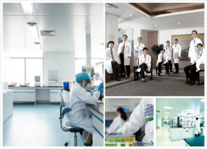 華藏正效堂研究室