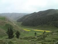 黃羊川鎮 黃羊川鎮