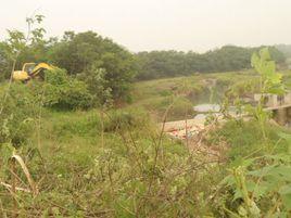 高塘村[安徽霍邱縣高塘鎮下轄村]