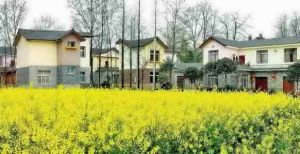 翠月湖鎮 翠月湖鎮