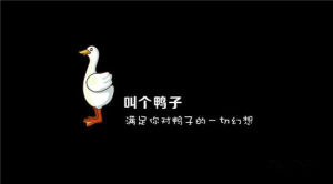 叫個鴨子 叫個鴨子
