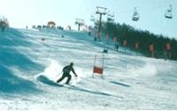 臥佛山滑雪場