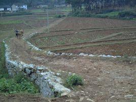 牛穿鼻自然村 牛穿鼻自然村