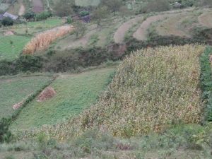 咪布地自然村 咪布地自然村