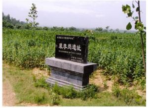 裴李崗文化遺址 裴李崗文化遺址