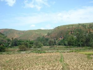 緒王坡自然村 緒王坡自然村