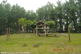 野生動物園 野生動物園
