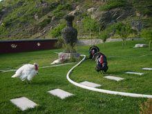 阜新元寶山森林公園