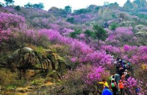 珠山秀谷 珠山秀谷