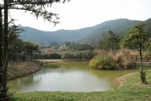 龍寺山莊 龍寺山莊