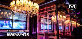 五月花[長春市五月花酒吧]