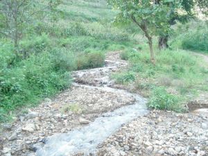 下石岩村 下石岩村