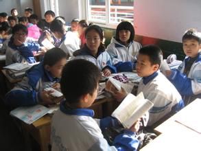 小組合作學習[線上學習]