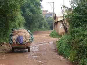 腳步哨村 腳步哨村