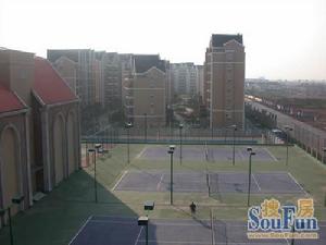 城開天璽花園實景圖