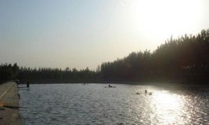 紅嘉業休閒垂釣園 紅嘉業休閒垂釣園