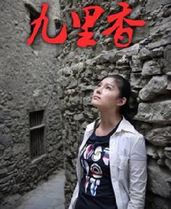 九里香[2010年王星軍執導電影]