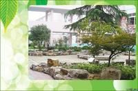 常熟市沙家浜中心國小校園環境