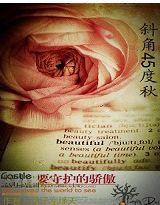 斜角45度秋 斜角45度秋