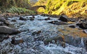 小河箐自然村 小河箐自然村