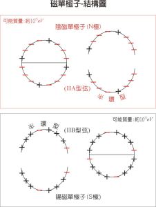 磁單極子-內部結構模型圖