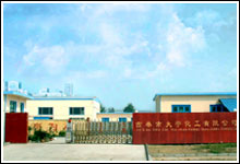 大宇公司 大宇公司