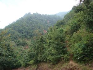 渣渣一自然村 渣渣一自然村