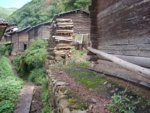 場上自然村 場上自然村