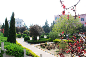 綠意盎然校園春