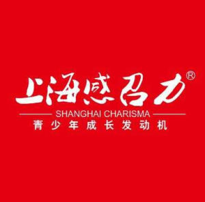 上海感召力教育集團