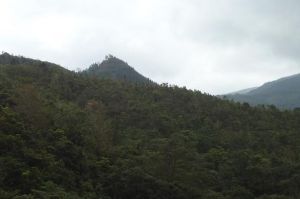 鶯哥嶺戰鬥 鶯哥嶺戰鬥