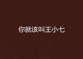 你就該叫王小七 你就該叫王小七
