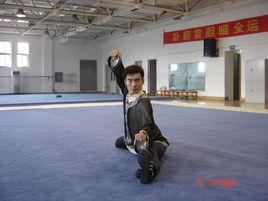 張振興[河南鄭州籍武術運動員]