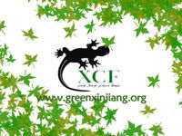 新疆自然保育基金