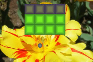 《花叢打磚塊》