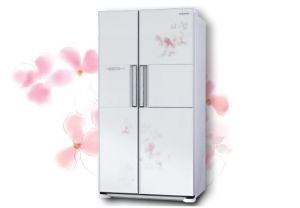 新飛冰櫃 新飛冰櫃