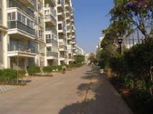 時代風華 時代風華