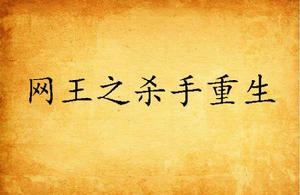 網王之殺手重生