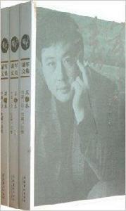 潘軍文集 潘軍文集