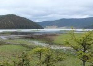 文海上村 文海上村