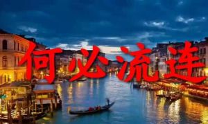 何必流連 何必流連